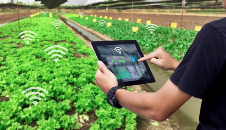 Aplikasi Teknologi di Pertanian: Meningkatkan Produksi Pangan Global