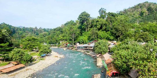 Touring Medan and Bukit Lawang: Getting Close to the Wild