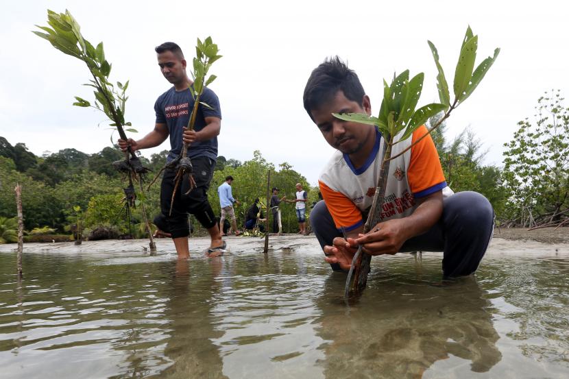 Peristiwa Alam yang Mengubah Dunia: Mengatasi Bencana dan Pemulihan Ekosistem