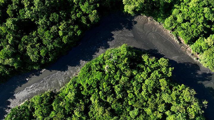 Misteri Alam: Penemuan Terkini di Hutan Amazon dan Lautan Dalam